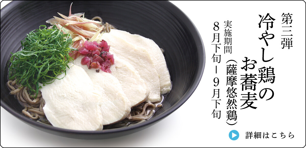 冷やし鶏のお蕎麦（薩摩鶏）